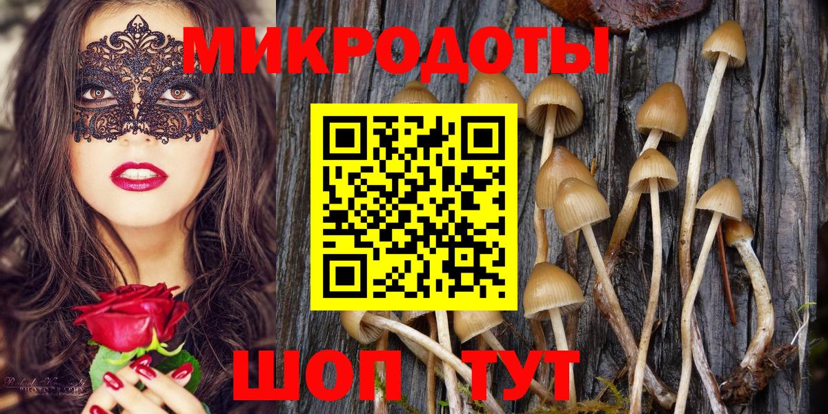 Псилоцибиновые грибы Magic Shrooms  Псилоцибиновые грибы Cubensis  Знаменск  Вход с VPN 